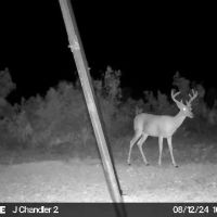 High Lonesome Ranch Subdivision Crockett County Ozona Texas images 2
