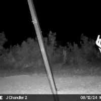 High Lonesome Ranch Subdivision Crockett County Ozona Texas images 3