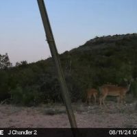 High Lonesome Ranch Subdivision Crockett County Ozona Texas images 4