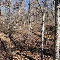 Lake of the Ozarks Acreage images 3