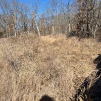 Lake of the Ozarks Acreage images 5