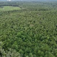 37.5 Acres in Covington County in Collins MS images 2