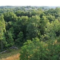 Lawrence s 11 acres