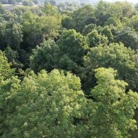 Lawrence s 11 acres images 2