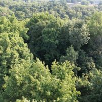 Lawrence s 11 acres images 5