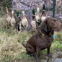 Exceptional Duck Hunting Grounds