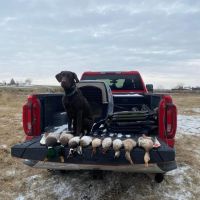 Exceptional Duck Hunting Grounds images 2