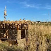 Exceptional Duck Hunting Grounds images 3