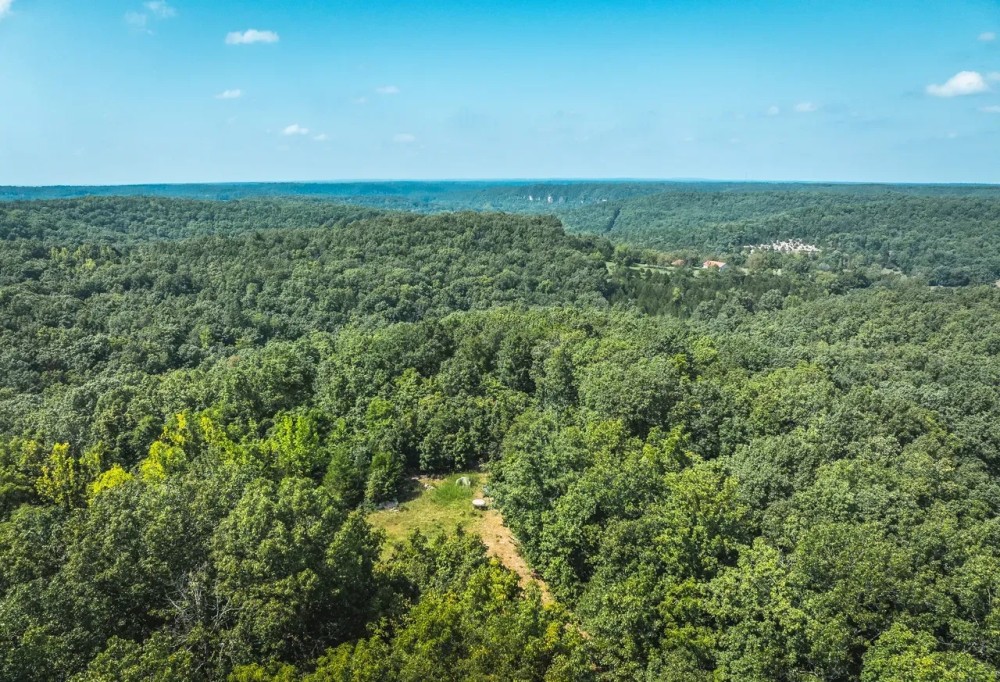 White Oak Acres featured image