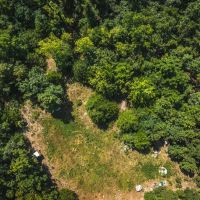 White Oak Acres images 3