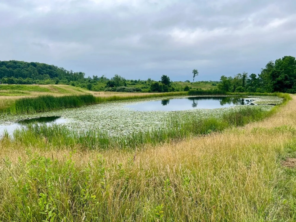 Lutheran Church Rd. Fayette County - 165 acres featured image