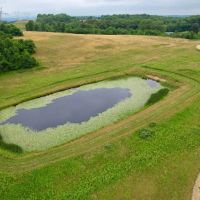 Lutheran Church Rd. Fayette County - 165 acres images 2