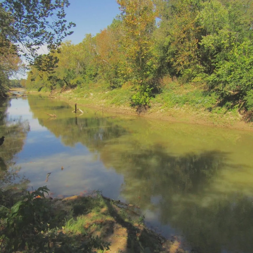Muddy Boggy Bottom Recreational Treasure Choctaw County OK 80 AC featured image