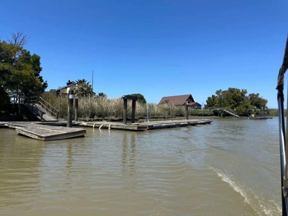 Antioch Goldeneye featured image