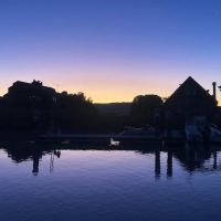 Antioch Goldeneye images 2