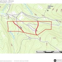 Brown Rd. Fayette County - 178 acres images 3