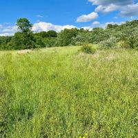 Brown Rd. Fayette County - 178 acres images 4