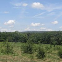 140 ac hunting Agricultural Property images 4