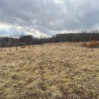 Heyer Rd. Somerset County - 59 acres images 5