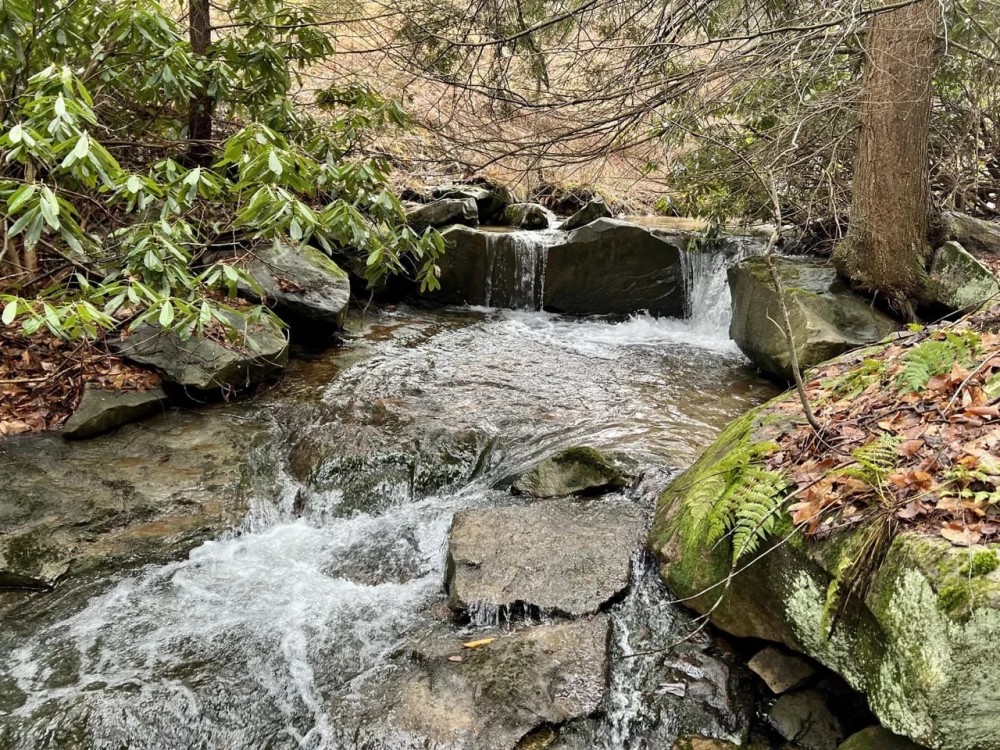 Listonburg Rd. Somerset County - 25 acres featured image