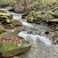 Listonburg Rd. Somerset County - 25 acres images 3