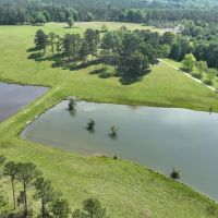 887 Acres in Smuteye images 4