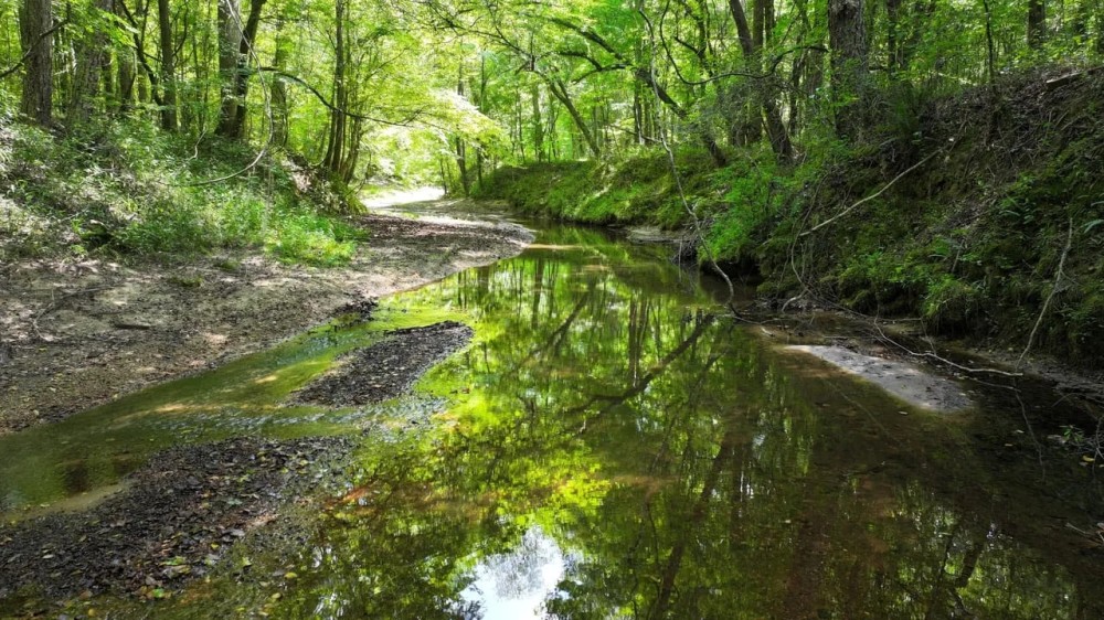 Lowndes County MS -300 Acres Golding Cir featured image