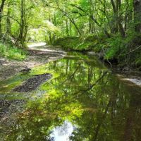 Lowndes County MS -300 Acres Golding Cir
