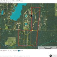 Lowndes County MS -300 Acres Golding Cir images 2