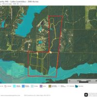 Lowndes County MS -300 Acres Golding Cir images 4