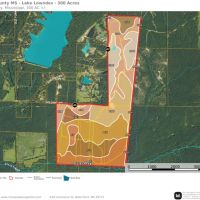 Lowndes County MS -300 Acres Golding Cir images 5