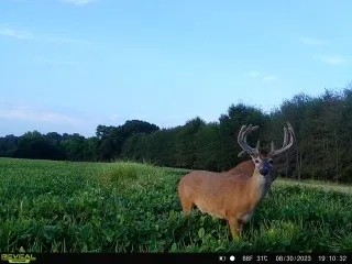 KS - Barber 505 acres - featured image