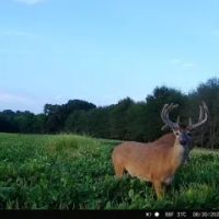 KS - Barber 505 acres -