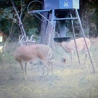 KS - Barber 505 acres - images 2