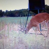 KS - Barber 505 acres - images 4