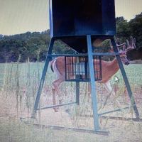 KS - Barber 505 acres - images 5