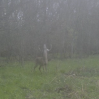 Img 2152