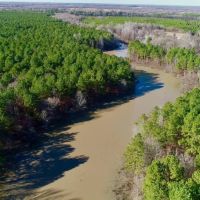 Bowie County Forest