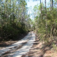 Perdido River WMA - 2,811 acres Deer hunting property in Escambia, FL
