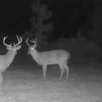 Sundown Creek Ranch images 5