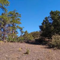 Bird Point at Indian Springs images 2