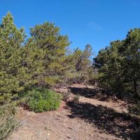 Bird Point at Indian Springs images 3