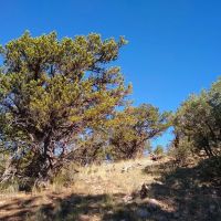 Bird Point at Indian Springs images 4