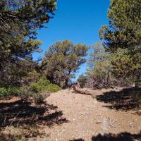 Bird Point at Indian Springs images 5