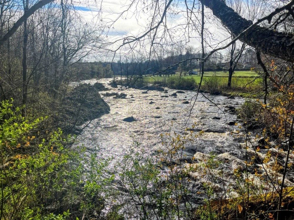 8 acres Riverfront Land in Dickinson Center NY Hunting Land for Sale