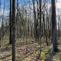 8 acres Riverfront Land in Dickinson Center NY images 3