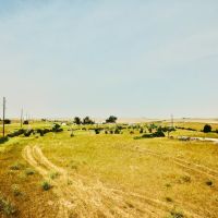 Primary Chouteau County Plot images 3
