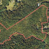 35.1 acres of Recreational and Hunting Land For Sale in Henry County VA