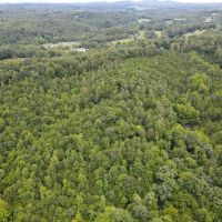 35.1 acres of Recreational and Hunting Land For Sale in Henry County VA images 2