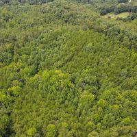 35.1 acres of Recreational and Hunting Land For Sale in Henry County VA images 3